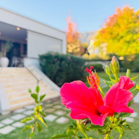 פרנצ'הוק Residence Vive La Vie מראה חיצוני תמונה