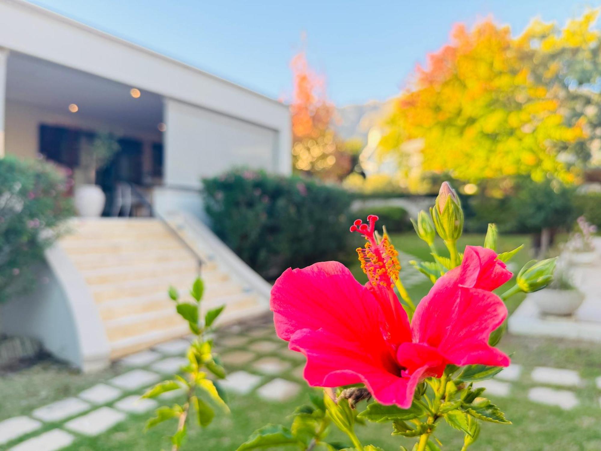 פרנצ'הוק Residence Vive La Vie מראה חיצוני תמונה